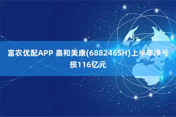 富农优配APP 嘉和美康(688246SH)上半年净亏损116亿元