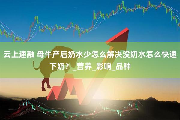 云上速融 母牛产后奶水少怎么解决没奶水怎么快速下奶？_营养_影响_品种
