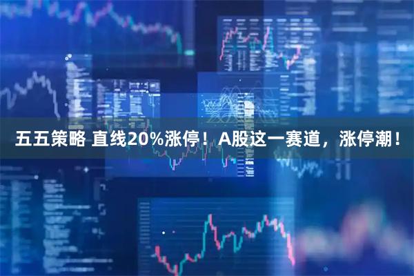 五五策略 直线20%涨停！A股这一赛道，涨停潮！