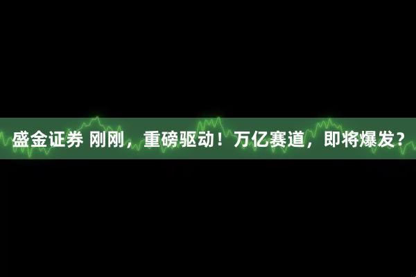 盛金证券 刚刚，重磅驱动！万亿赛道，即将爆发？