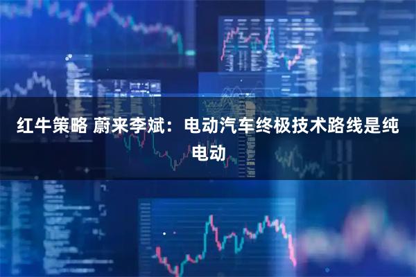 红牛策略 蔚来李斌：电动汽车终极技术路线是纯电动