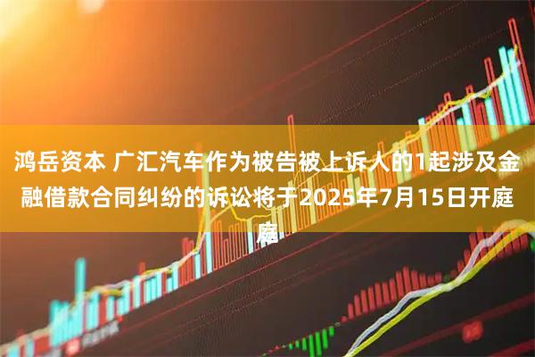 鸿岳资本 广汇汽车作为被告被上诉人的1起涉及金融借款合同纠纷的诉讼将于2025年7月15日开庭